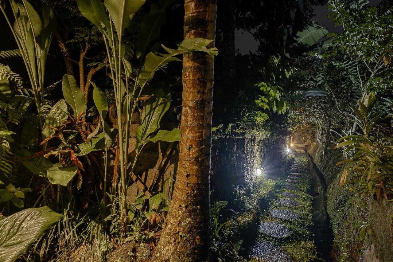 Moringa Ubud Villa Exterior photo