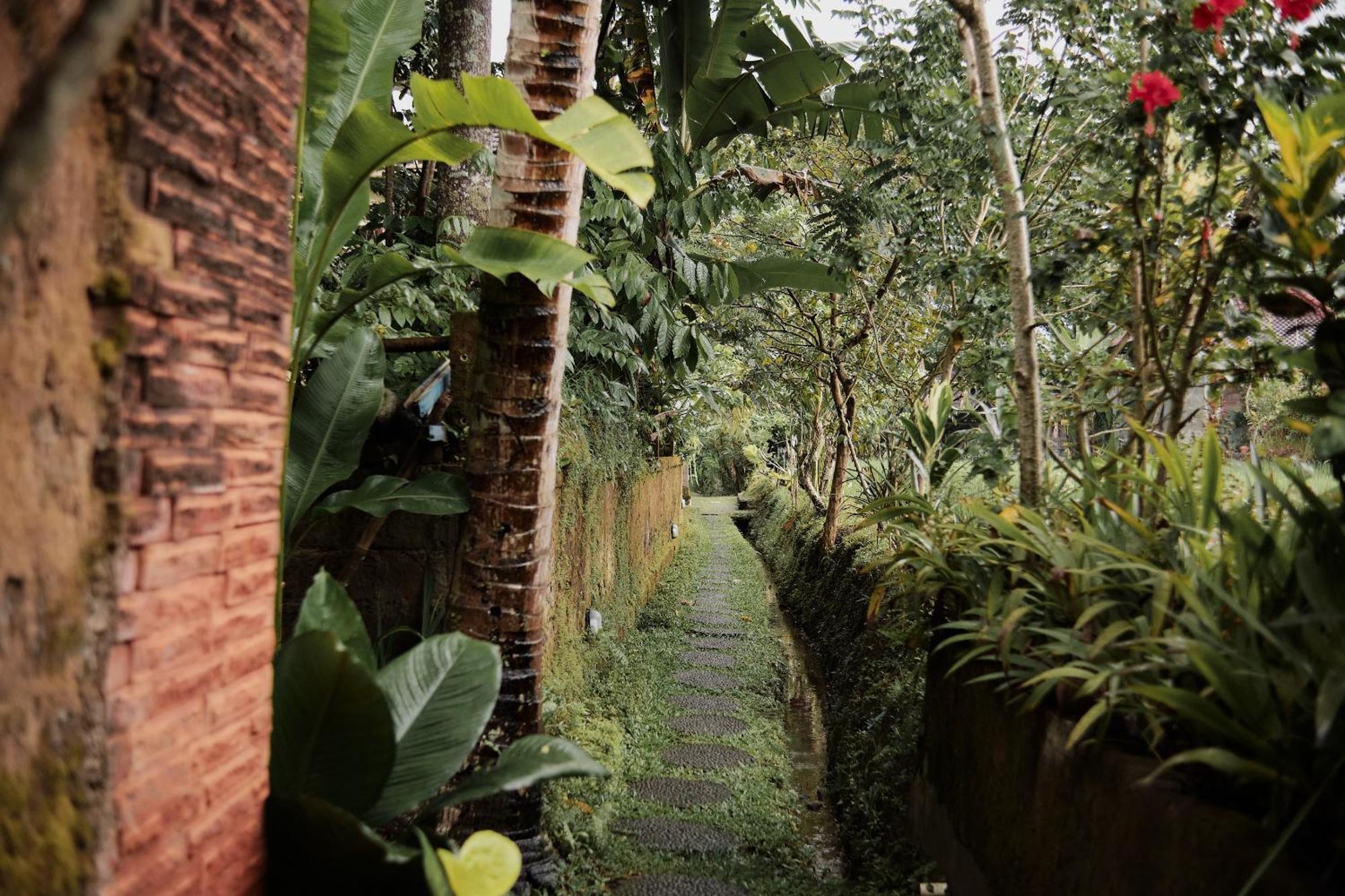 Moringa Ubud Villa Exterior photo