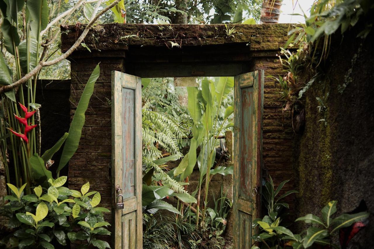 Moringa Ubud Villa Exterior photo